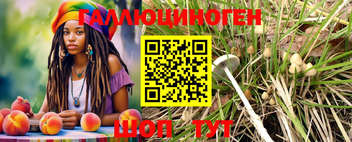 Галлюциногенные грибы Psilocybine cubensis Тамбов